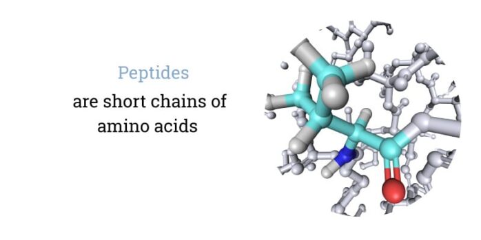 Peptides are short chains of amino acids